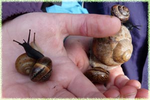 viel Spass im Waldkindergarten