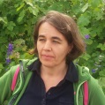 Liane