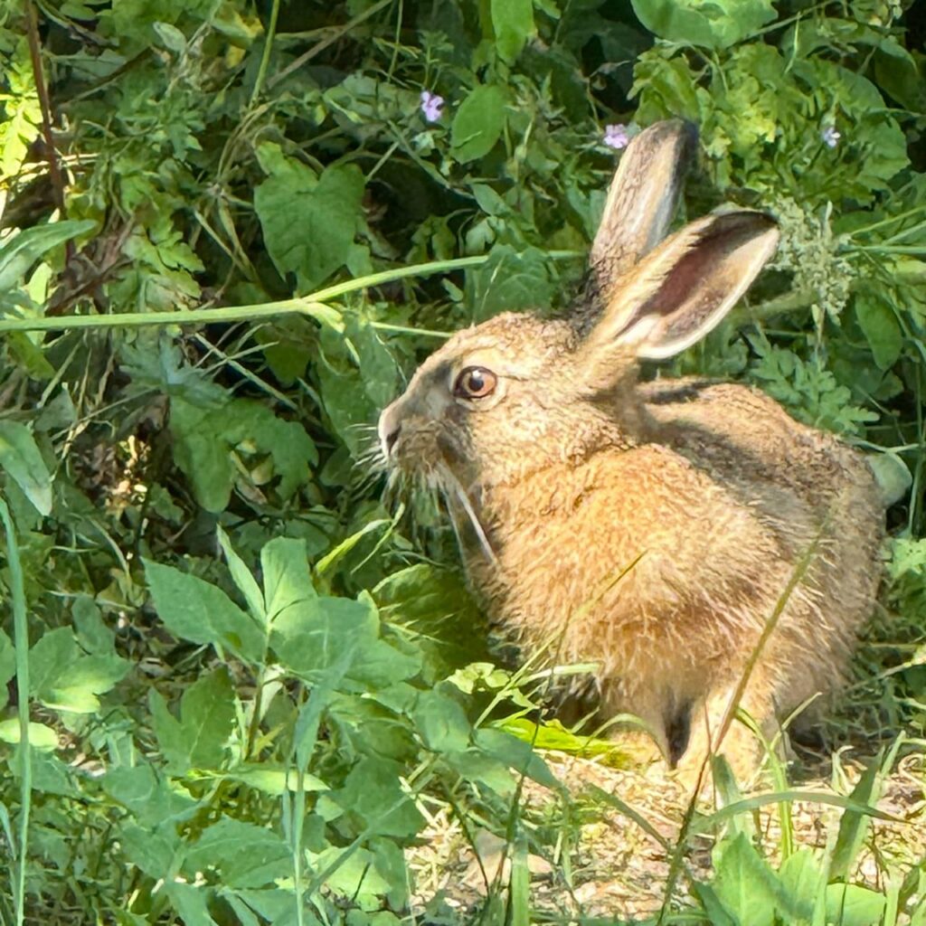 Walkindergarten Isartal Geretsried Impressionen 2