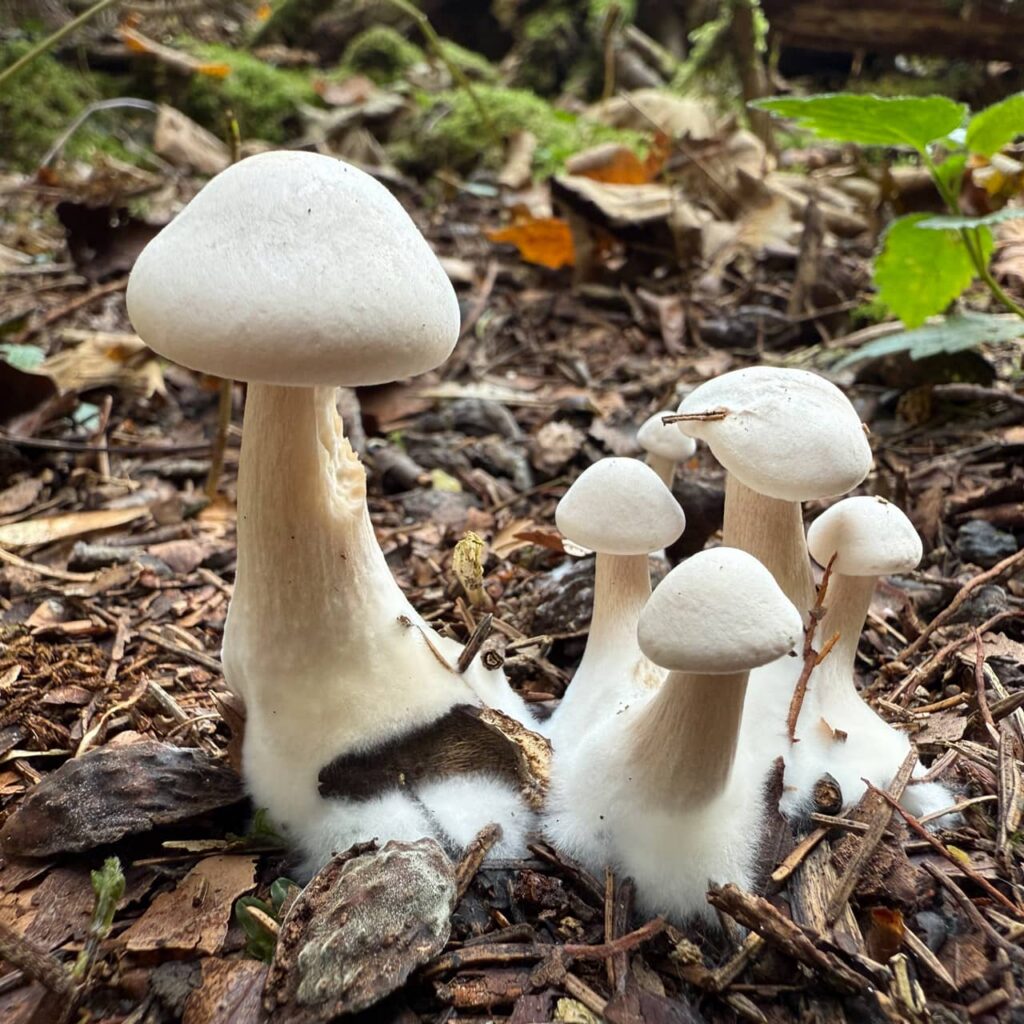 Walkindergarten Isartal Geretsried Impressionen 4