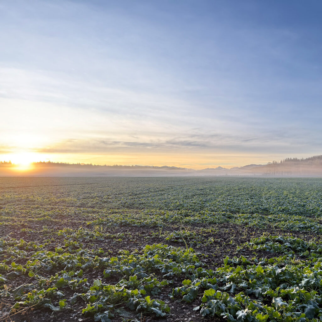 Walkindergarten Isartal Geretsried Impressionen 5